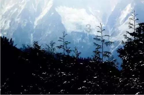山东:厚植文旅产业创新动能,推动数字化转型