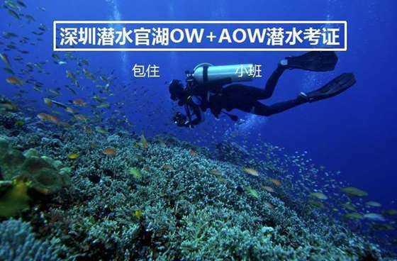【新春走基层】一锅杀猪菜  一年好光景
